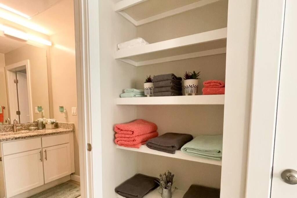 Museum District Apt Retreat W/bbq Patio And Pool Apartment