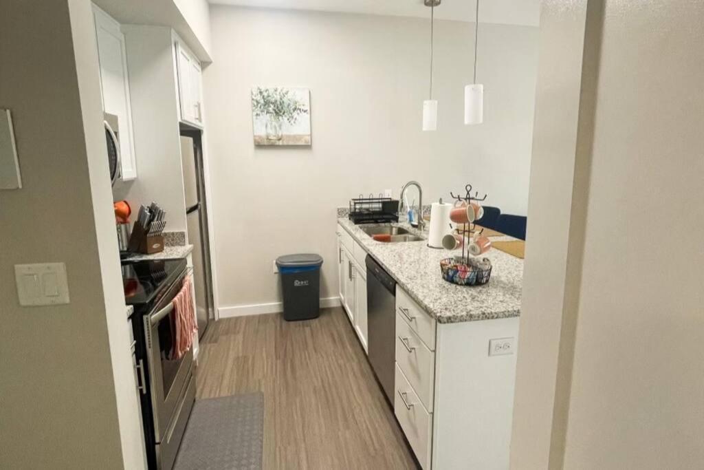 Museum District Apt Retreat W/bbq Patio And Pool Apartment *
