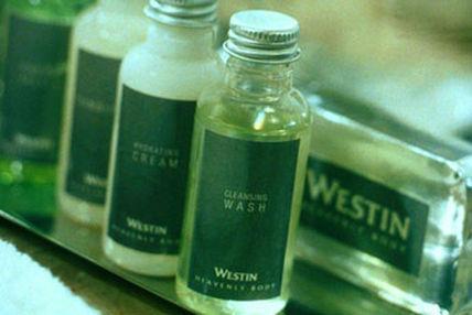 Hotel The Westin