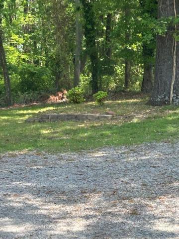 Serene Retreat! 420 Friendly In Designated Area, 3 Minutes To Downtown