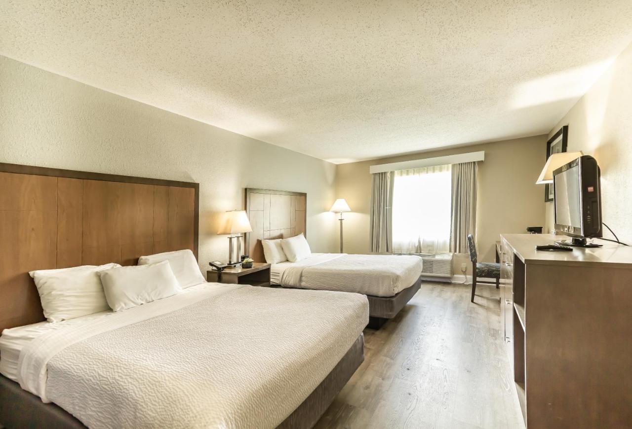 La Quinta By Wyndham South Hotel Richmond