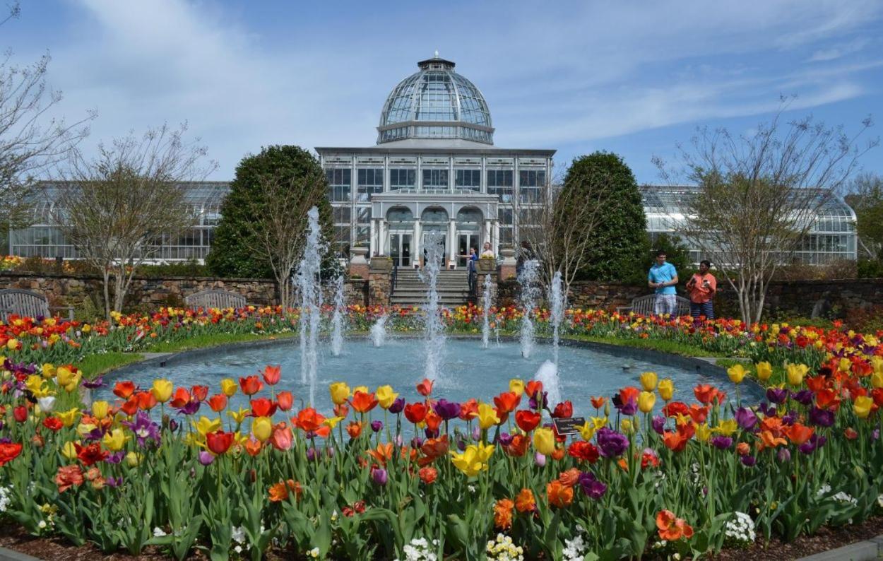 Spacious, Vibrant 'n Richmond, Va!