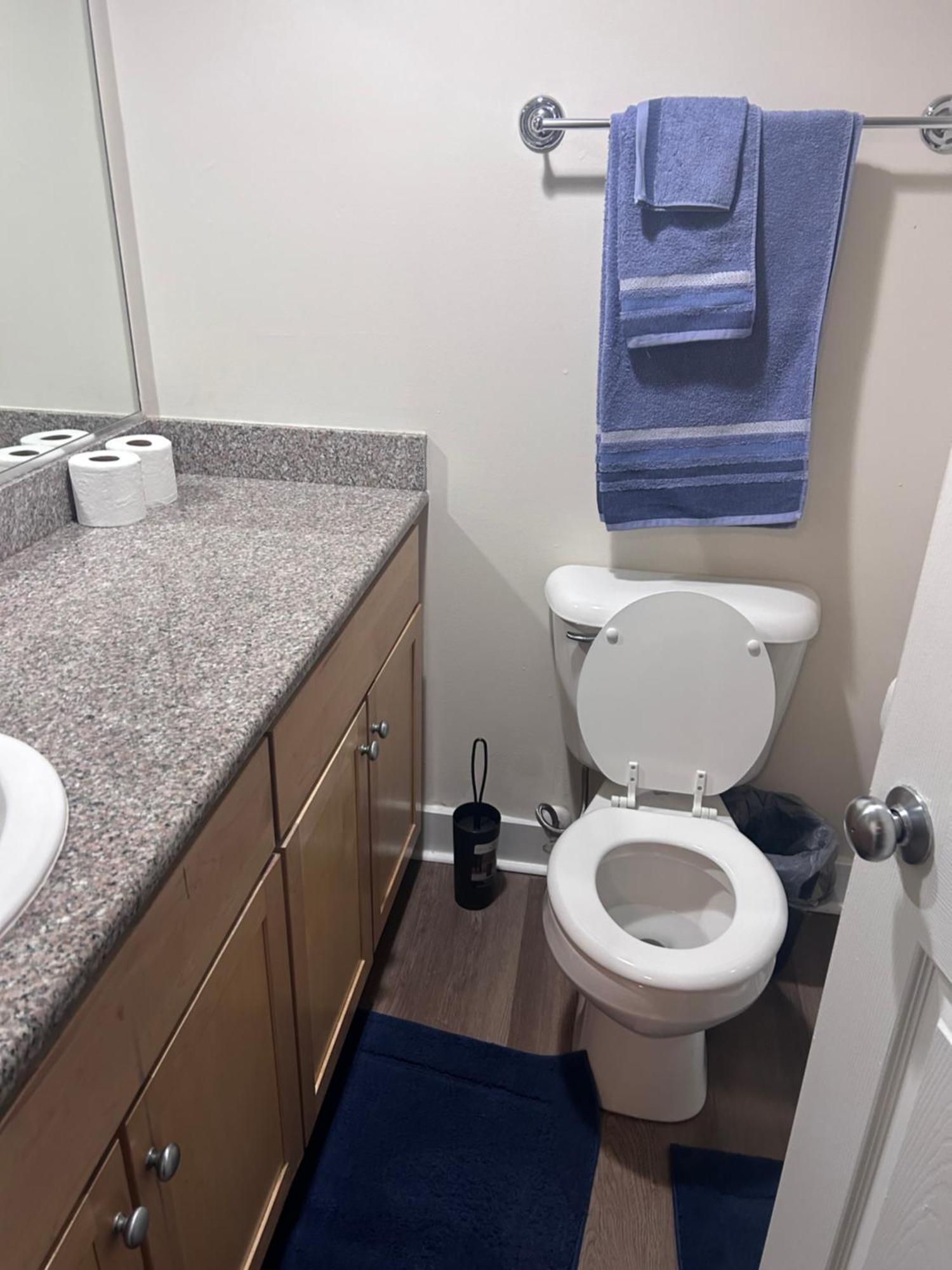 Private Near Vcu In Shockoe Apartment